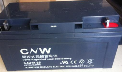 储霸(CNW)蓄电池-专区