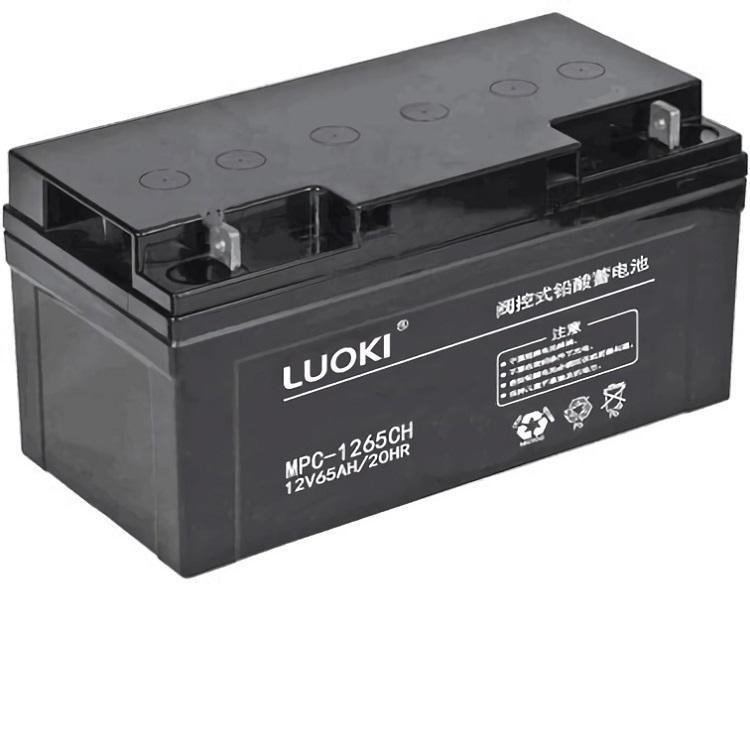 LUOKI洛奇蓄电池-专区